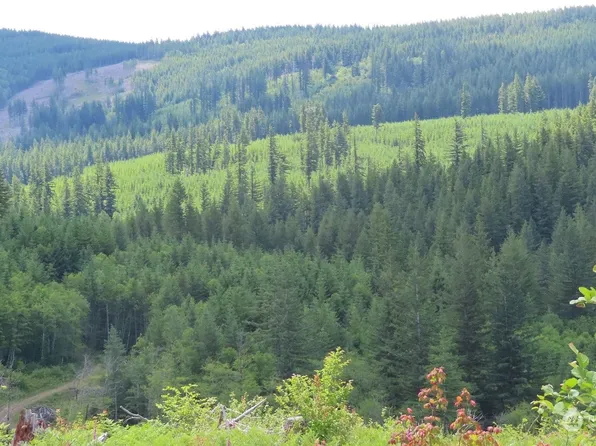 0 Lot 3 L-1100 Road, Yacolt, WA 98675