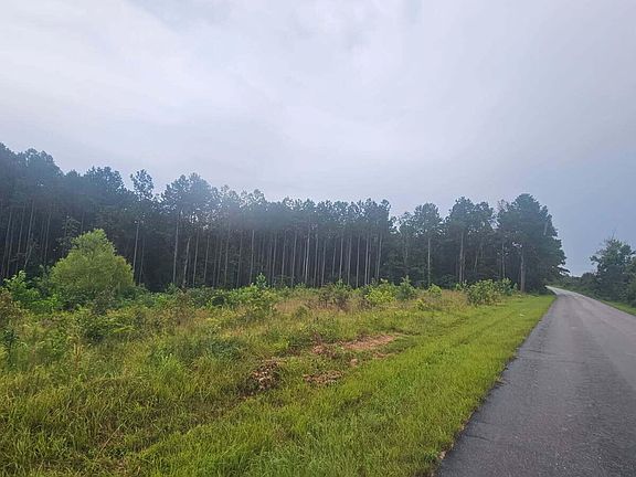 4th image of 2010 County Road 961
