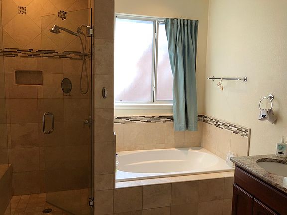 Downstairs Master Bath/Shower