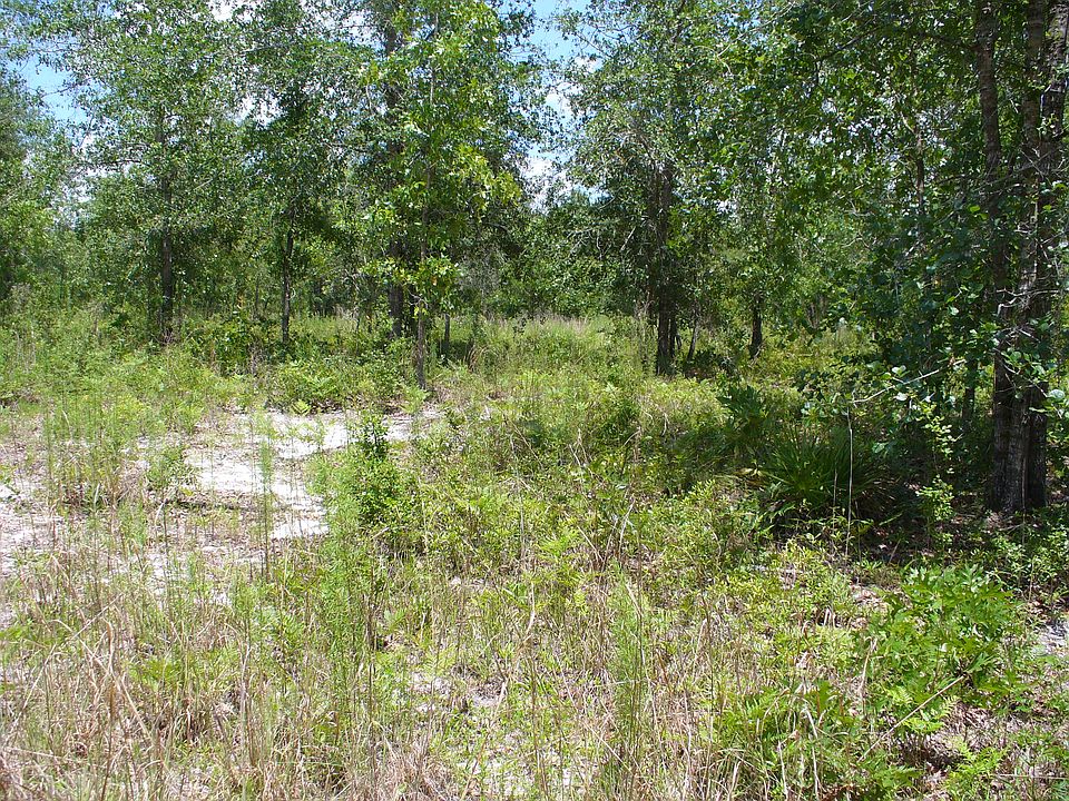 Borders lot 14 on Deep creek