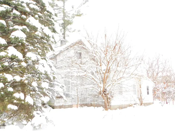 111 E Saint Marys St, Decatur, MI 49045