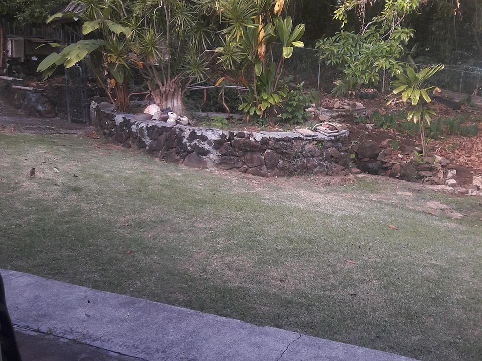 View from living room to back yard