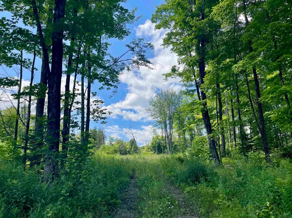 2209 Underpass Road, Sutton, VT 05867