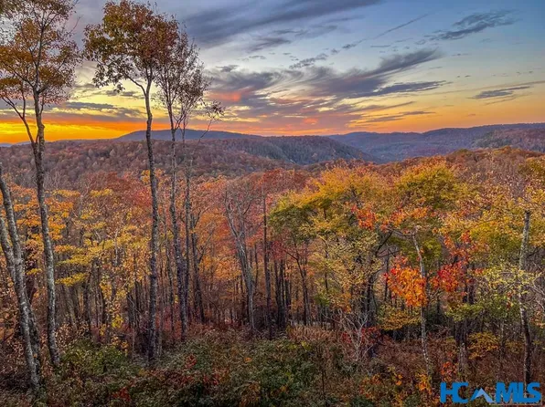 1696 Continental Drive, Sapphire, NC 28774