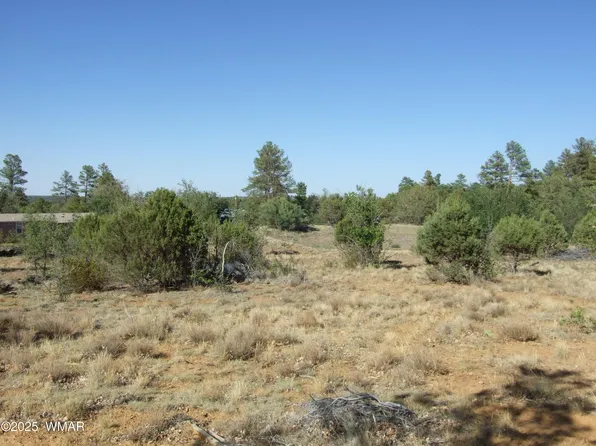 PARCEL Lamb Dr #A, Pinedale, AZ 85934