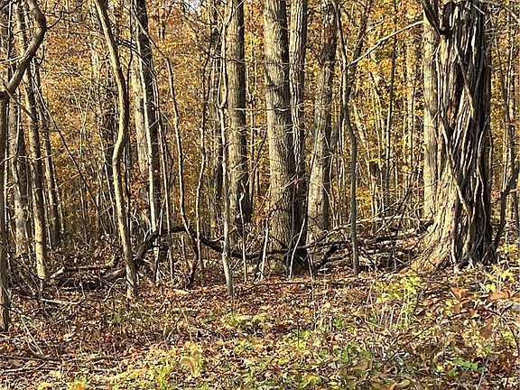 5th image of Shooktown Rd