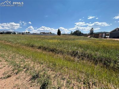 Tbd Golden Grain Ln, Divide, CO, 80814