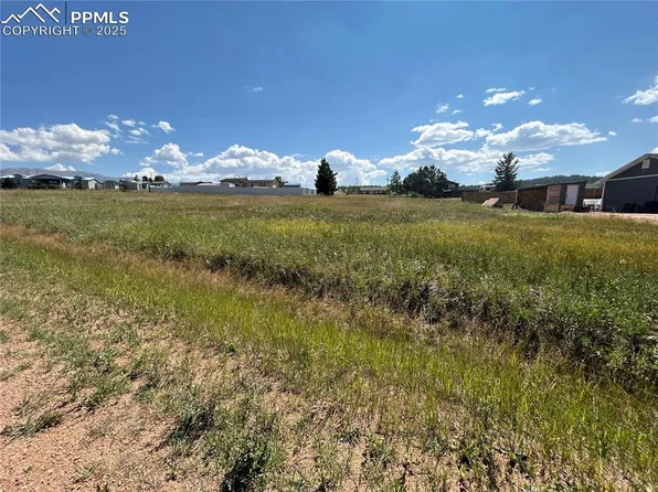Tbd Golden Grain Ln, Divide, CO 80814