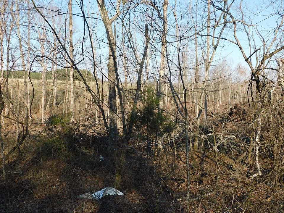 0 Lucas Ridge Rd Waverly TN Zillow