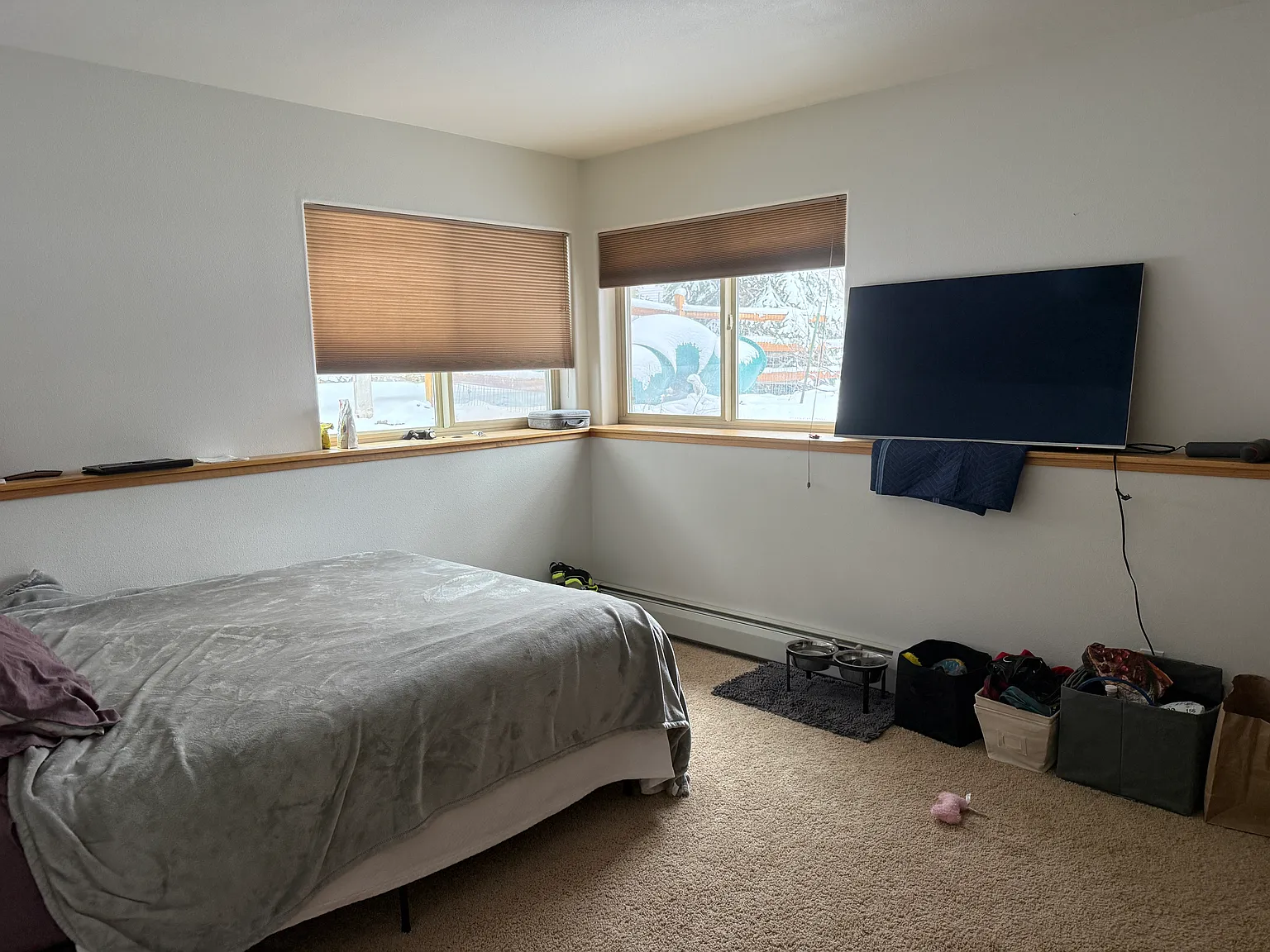 1141 Rainbow Dr — Photo 4