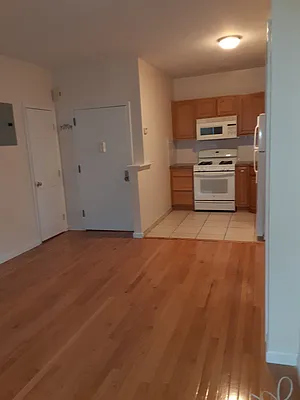 Rented by Tree House Realty of Queens Corp | media 3