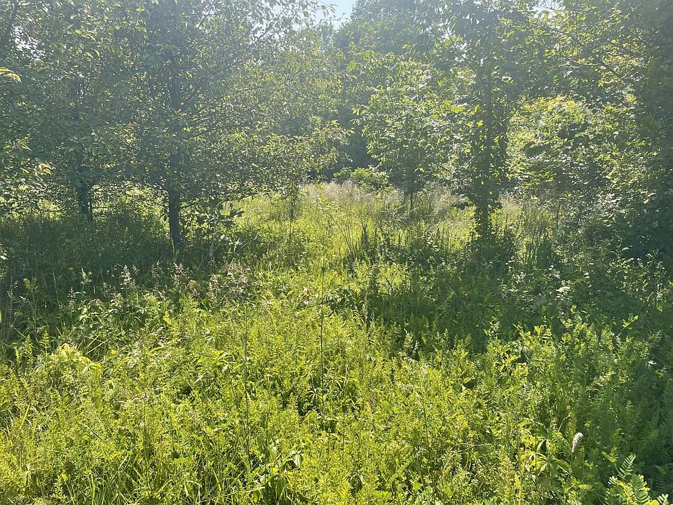 2nd image of Lots 74 & 75 White Oak Cir