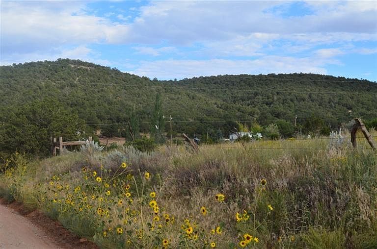 Home is nestled in the forest surrounded by Pinion and Juniper trees