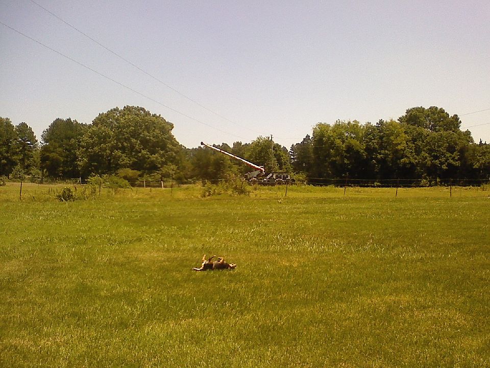 2nd image of 9811 Peters Rd
