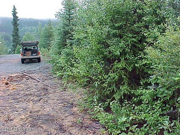 2nd image of Mi 29 Seward Hwy