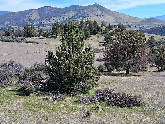 3rd image of LOT 768 Ruff Way