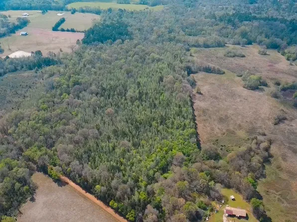 County Road 4308 Reno Rd, Naples, TX 75568