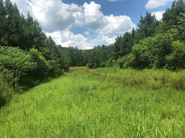 0 Towery Rd, Smithville, MS 38870