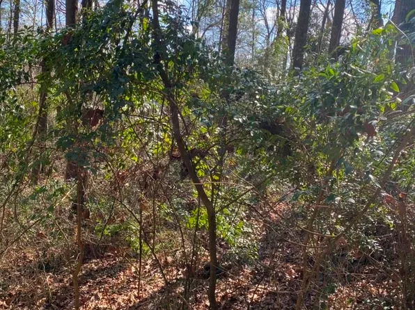 0 Beth St, Cullman, AL 35055