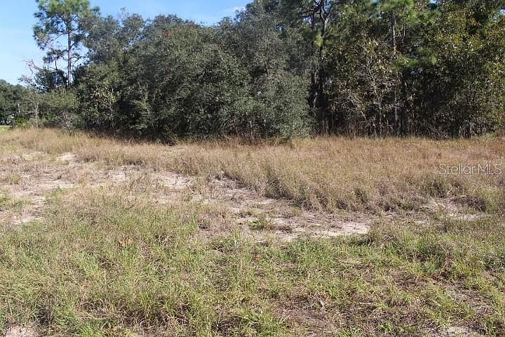 2nd image of 13465 Bruni Dr