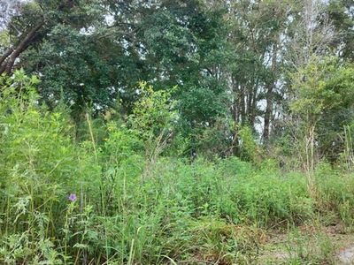 96 N Sheltering Oaks Dr #24, Inverness, FL, 34453