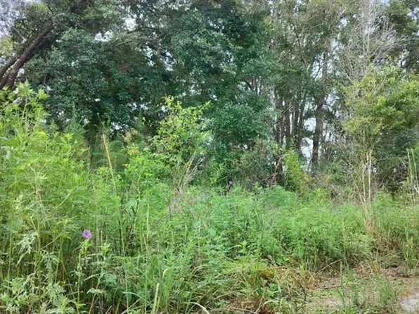 96 N Sheltering Oaks Dr #24, Inverness, FL 34453