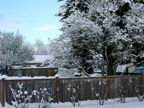 Fenced Yard