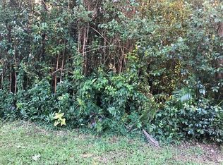 Hawaii Rd LOT 801, Pahoa, HI 96778