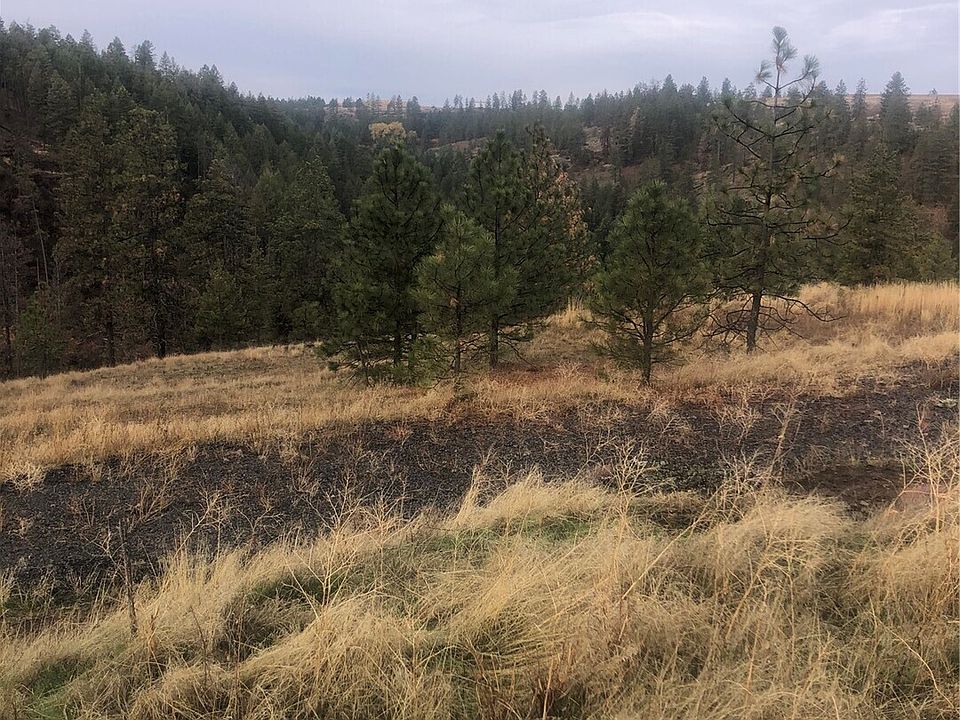 1st image of 30991 Pine Hen Lane E