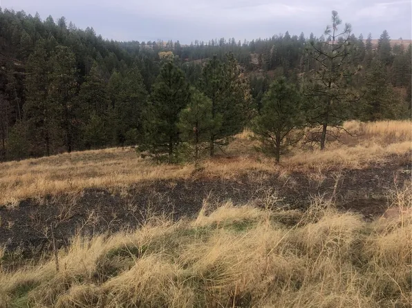 30991 Pine Hen Lane E, Davenport, WA 99122