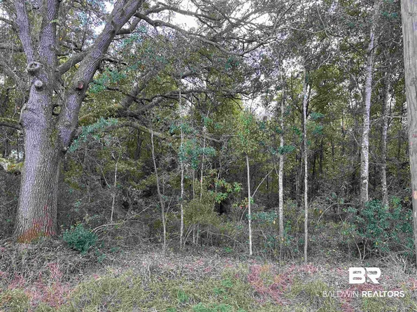0 Fox Ln, Lillian, AL 36549