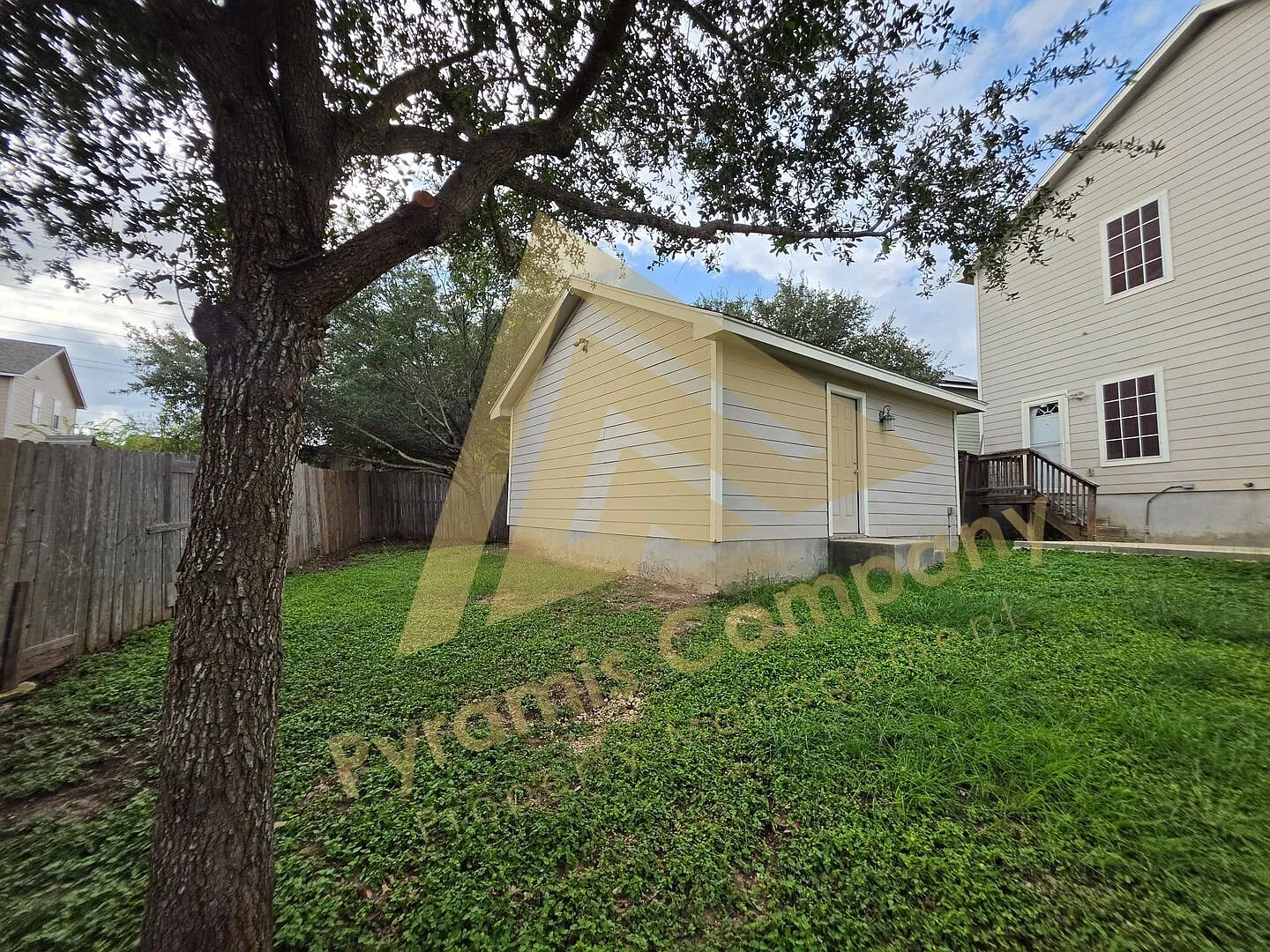 Gull9022 — Photo 3