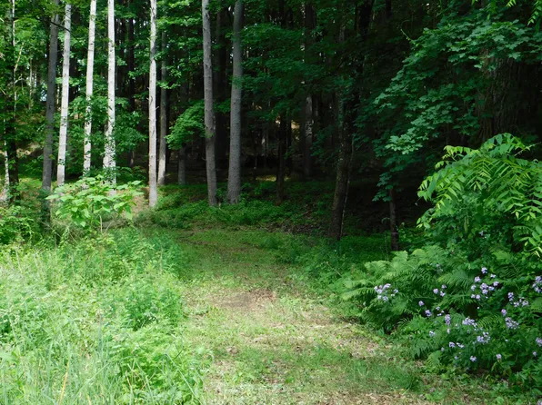 215 Taconic Road, Salisbury, CT 06068