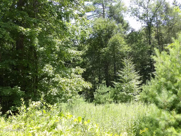 Avery Brook Rd, Charlemont, MA 01339