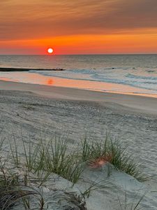 3113 Palmetto Blvd, Edisto Island, SC, 29438