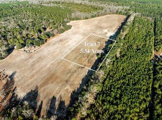 TRACT 7 Flinn Rd, Manning, SC 29102