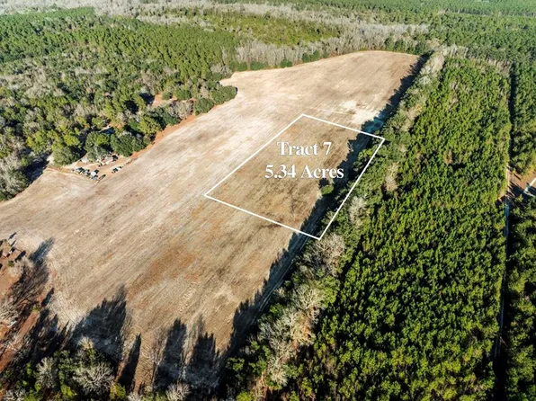 TRACT 7 Flinn Rd, Manning, SC 29102
