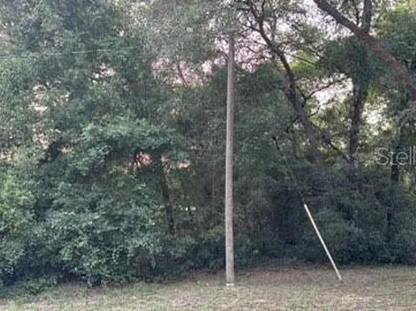 SE 11th St #8, Silver Springs, FL 34488
