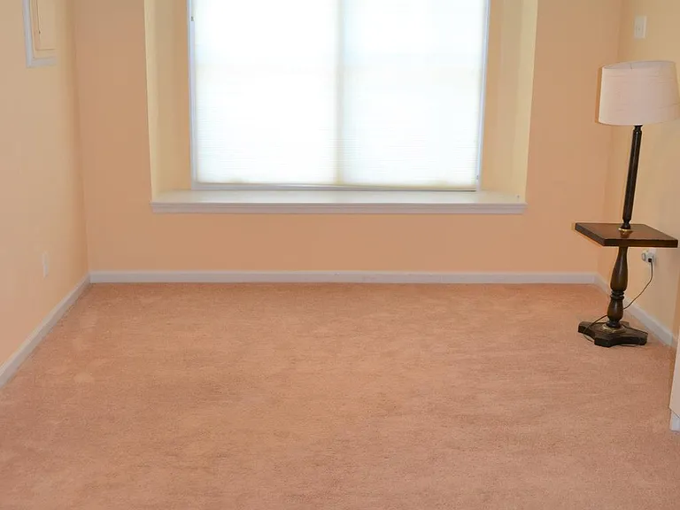 3809 Whispering Ln — Photo 16