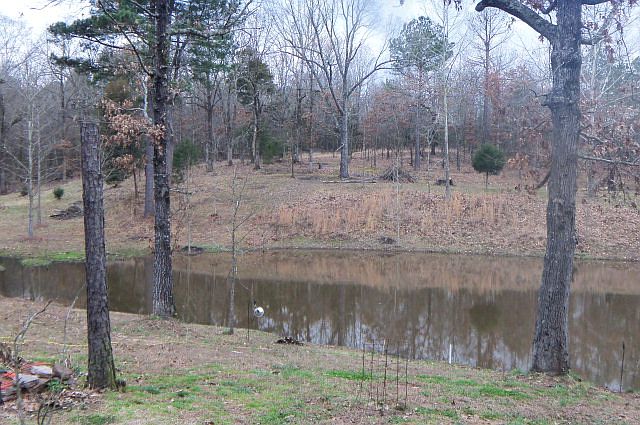 2nd image of 139 Deer Alley Dr