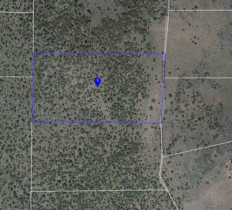 2nd image of 019-260-018 Lone Pine Trl