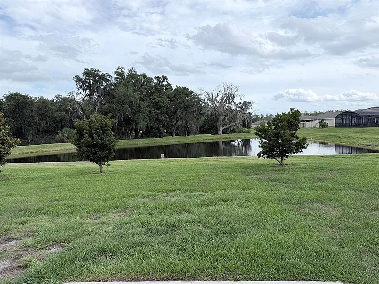 1917 Cricket Cradle Dr — Photo 2