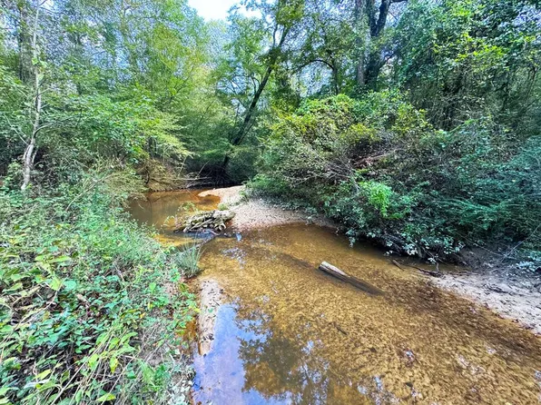 0 Steel Creek Rd, Georgetown, MS 39078