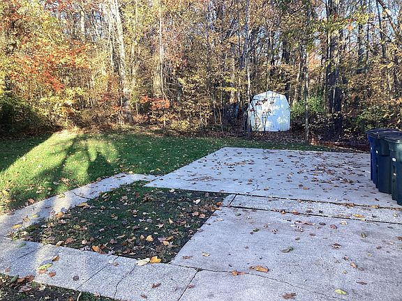 Back yard. Shed included.