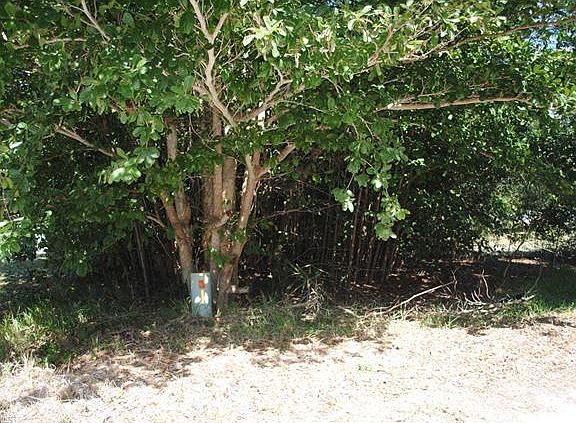 4th image of 7138 Sundiet Blvd