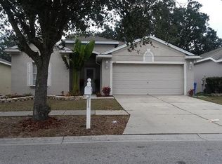 805 Parsons Pointe St, Seffner, FL 33584