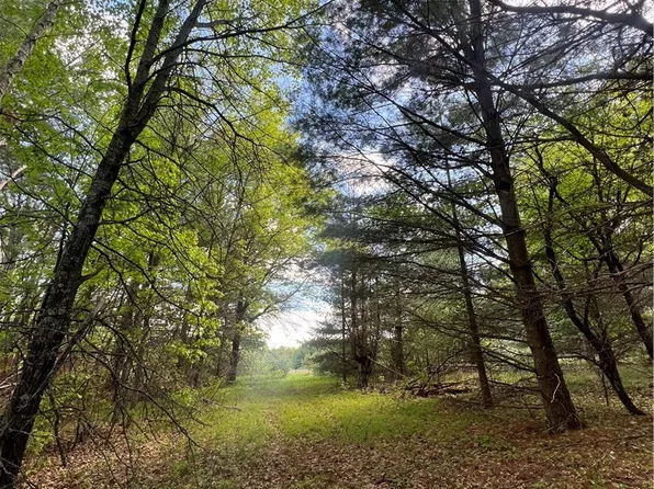 5304 Gaslyn Road, Webster, WI 54893