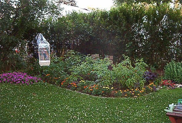 Back yard & garden
