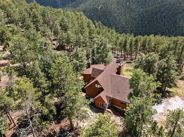 16 Auk Lane, Bailey, CO 80421