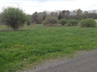 1142 Hollister Rd, Owego, NY 13827